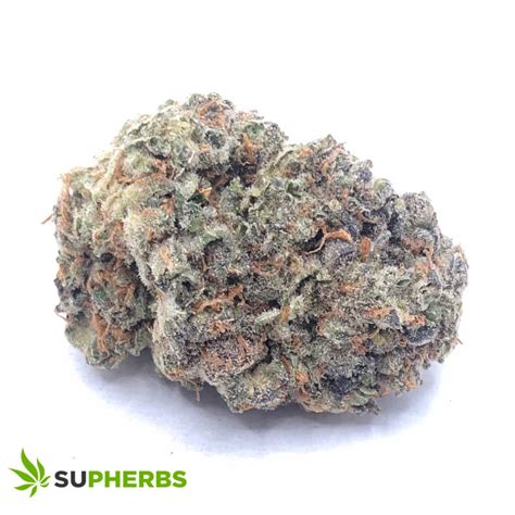 xhqtze|G13 Haze Weed Strain Information .